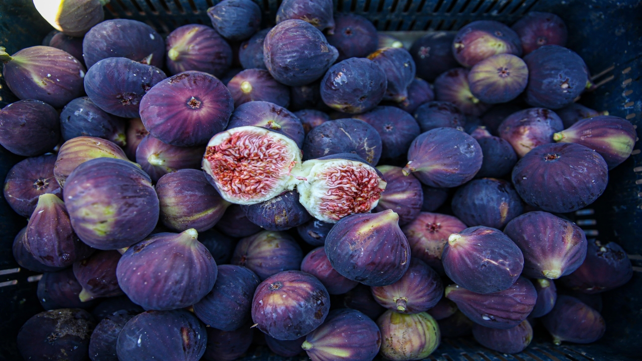 Foto - Araplar, Fransızlar ve Ruslar sıraya girdi: Türkiye’den ABD hariç her yere gidiyor