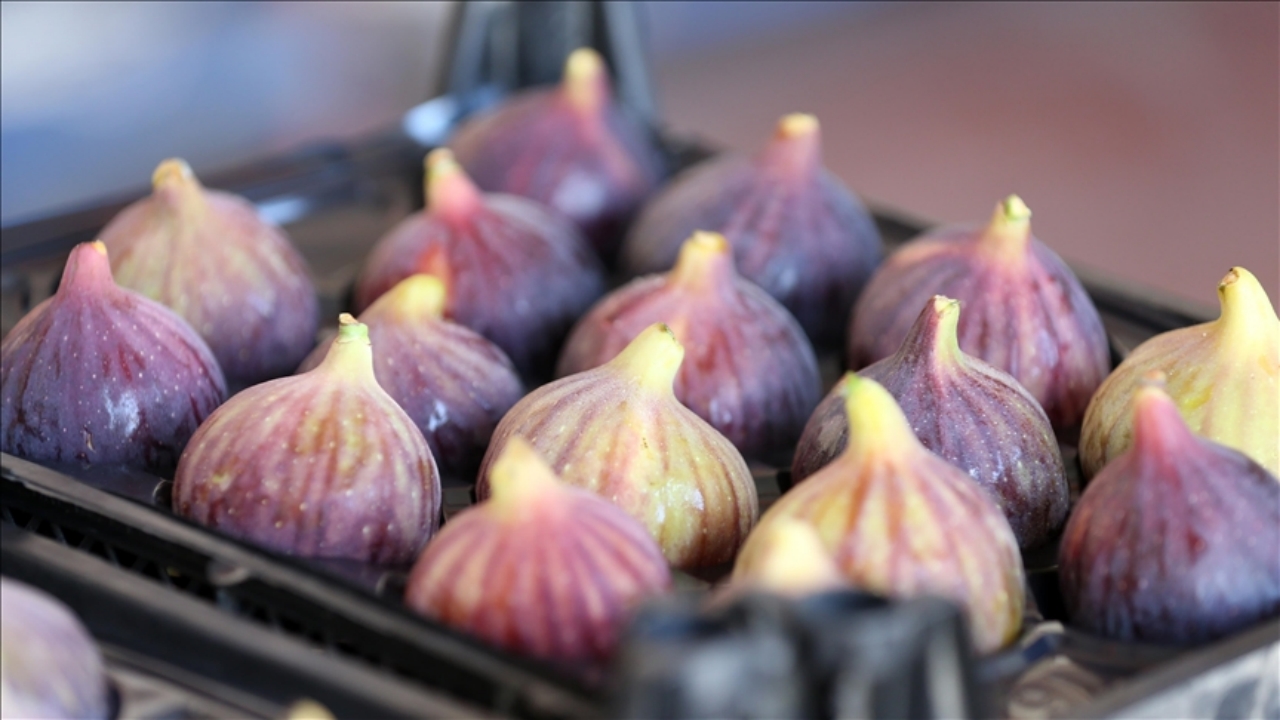 Foto - Araplar, Fransızlar ve Ruslar sıraya girdi: Türkiye’den ABD hariç her yere gidiyor