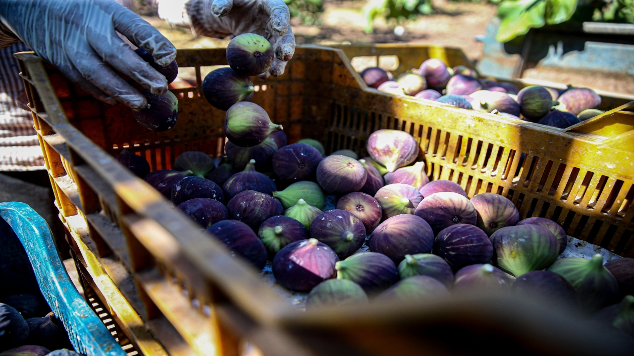 Foto - Araplar, Fransızlar ve Ruslar sıraya girdi: Türkiye’den ABD hariç her yere gidiyor