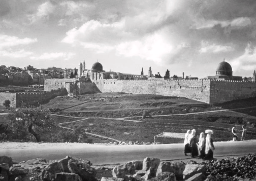 Foto - Araplar toprak sattı diyenlere tokat gibi cevap Filistin’i satan senin ittihatçı atalarındı