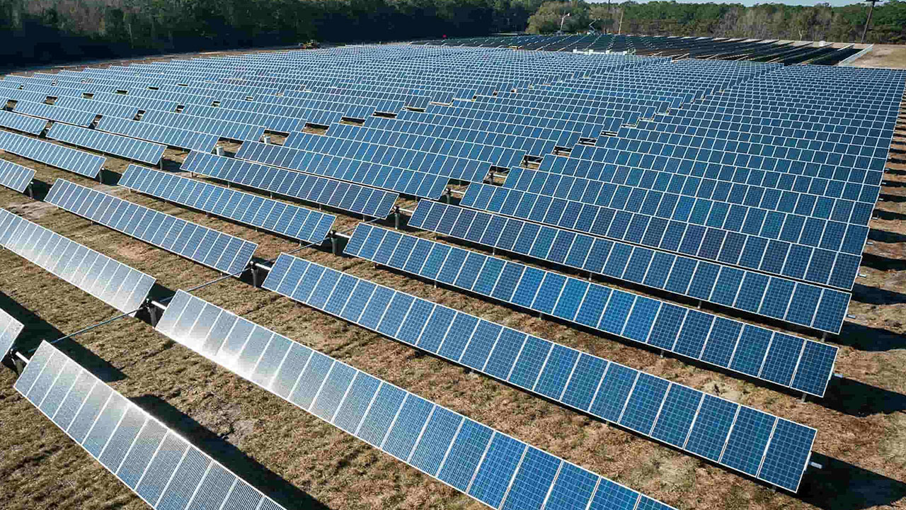 Foto - Araplar Türkiye'deki sınırsız enerjiyi gözüne kestirdi! Kasa kasa dolarlarla yola çıktılar