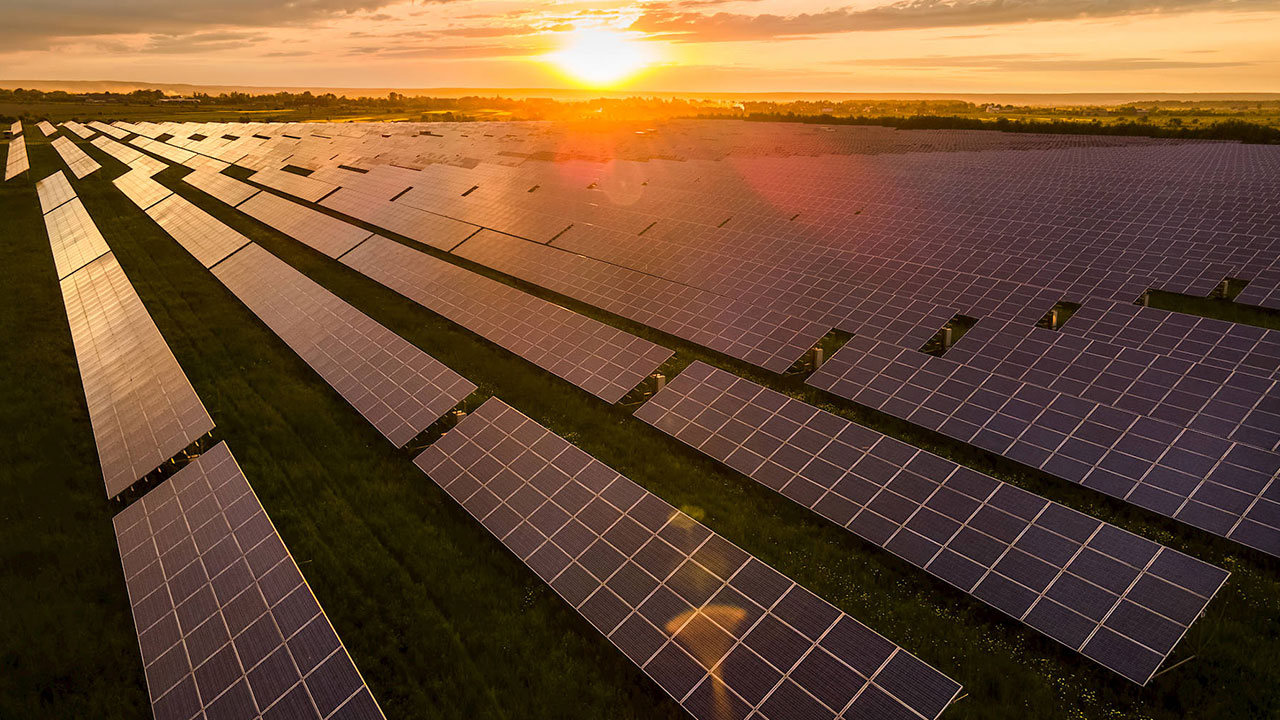 Foto - Araplar Türkiye'deki sınırsız enerjiyi gözüne kestirdi! Kasa kasa dolarlarla yola çıktılar
