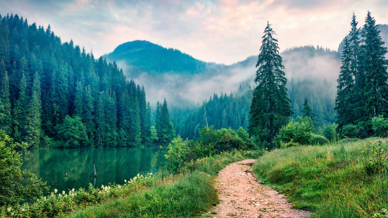 Araştırma kanıtladı! Sadece 15 dakika yeterli oluyor