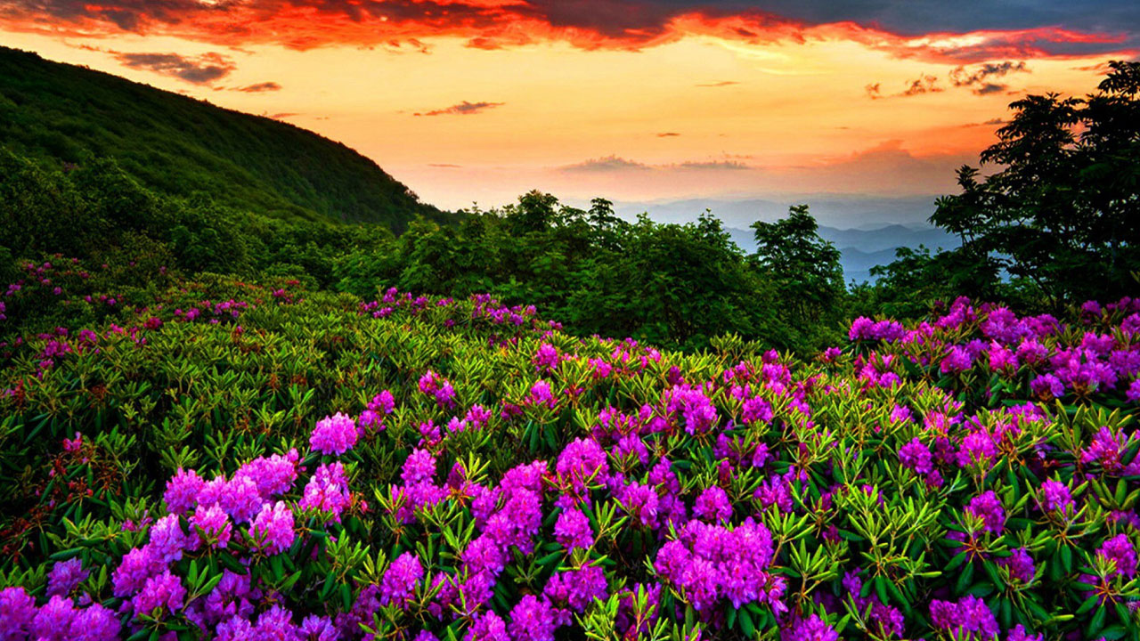 Foto - Araştırma kanıtladı! Sadece 15 dakika yeterli oluyor