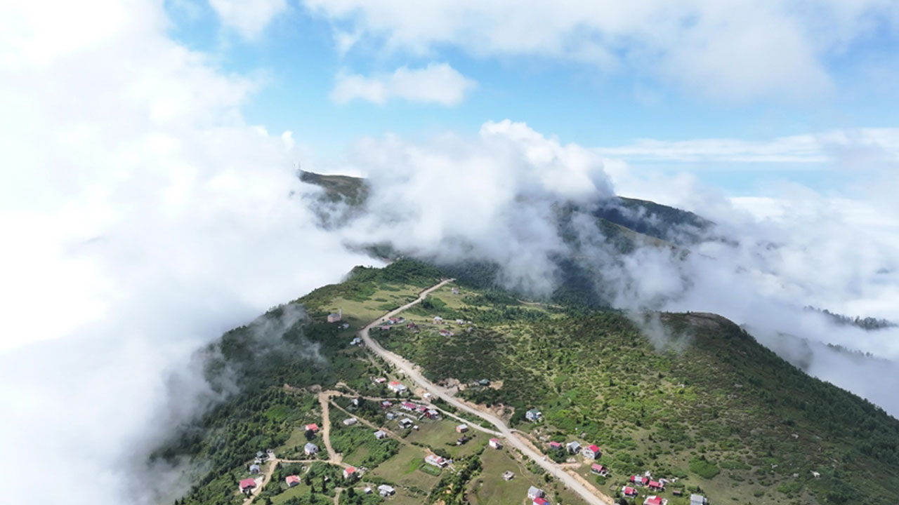 Foto - Araştırma kanıtladı! Sadece 15 dakika yeterli oluyor