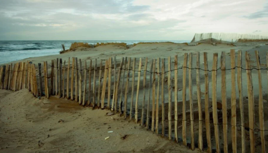 Foto - Araştırma sonuçlarını dünyaya servis ettiler! O ülke sular altında kalabilir