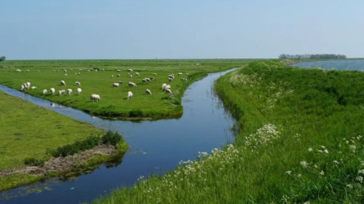 Foto - Araştırma sonuçlarını dünyaya servis ettiler! O ülke sular altında kalabilir