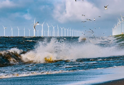 Foto - Araştırma sonuçlarını dünyaya servis ettiler! O ülke sular altında kalabilir