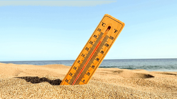 Foto - Araştırmacılar her şeyi tek tek açıkladı! Uzak gelecekle ilgili ürküten tahmin