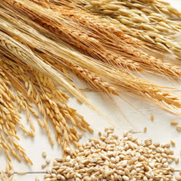 Foto - Araştırmalar sonucu ispat edildi! Bu yiyecekler kilo verdiriyor