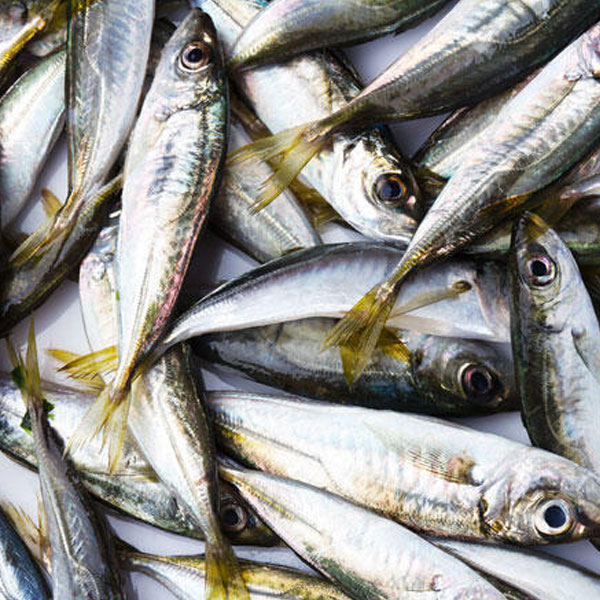 Foto - Araştırmalar sonucu ispat edildi! Bu yiyecekler kilo verdiriyor