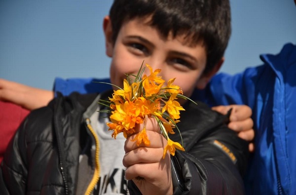 Foto - Araştırmalar tamamlandı! Bu bitki adeta şifa dağıtıyor