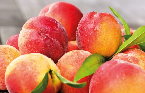 Foto - Araştırmalar tamamlandı! Her gün tüketiyoruz ama bu besinler ölüme yol açabiliyor