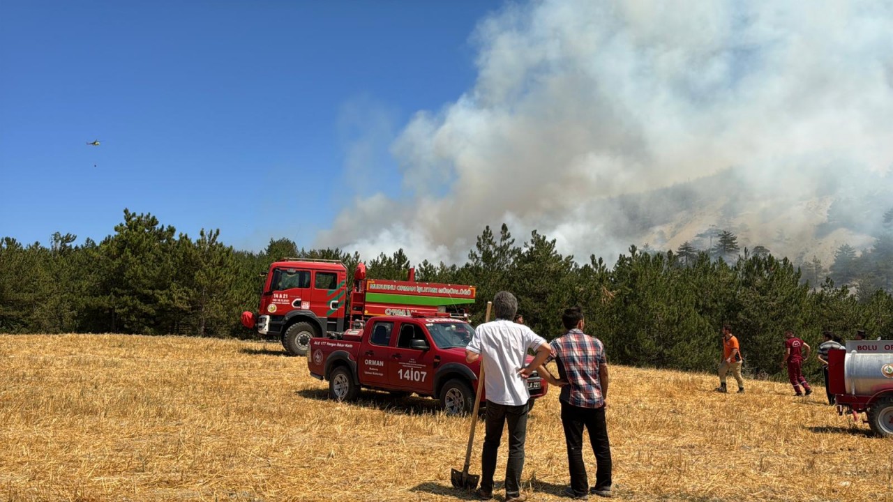 Foto - Arazideki yangın ormana sıçradı! Ekipler olay yerinde