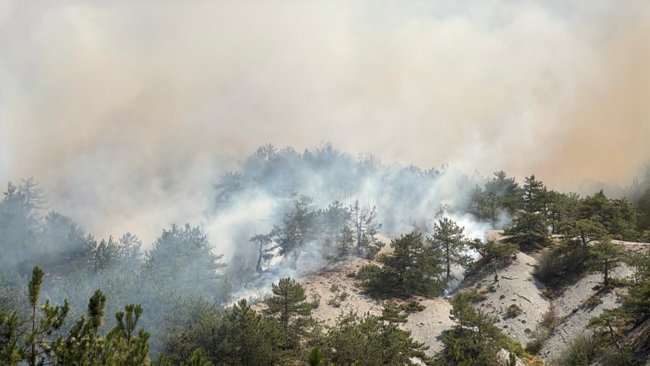 Foto - Arazideki yangın ormana sıçradı! Ekipler olay yerinde