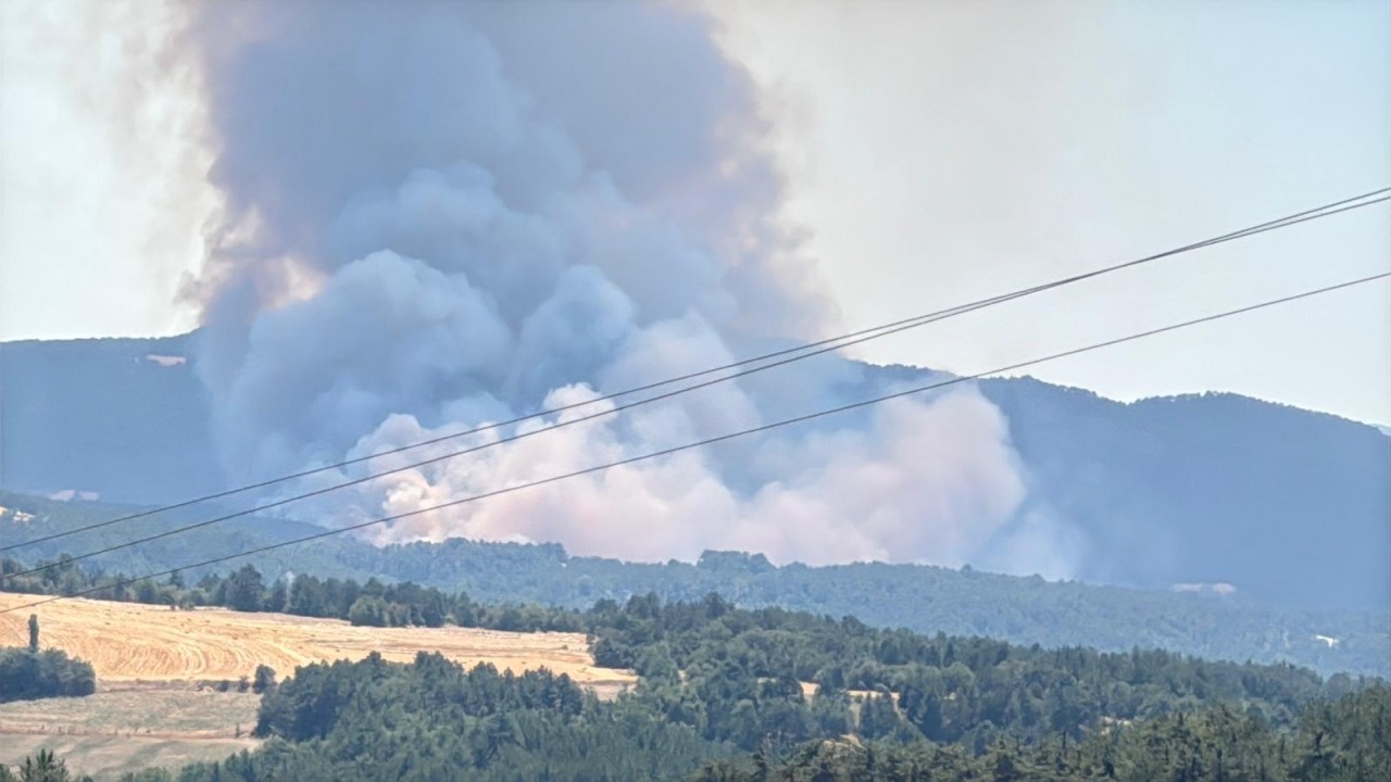 Foto - Arazideki yangın ormana sıçradı! Ekipler olay yerinde