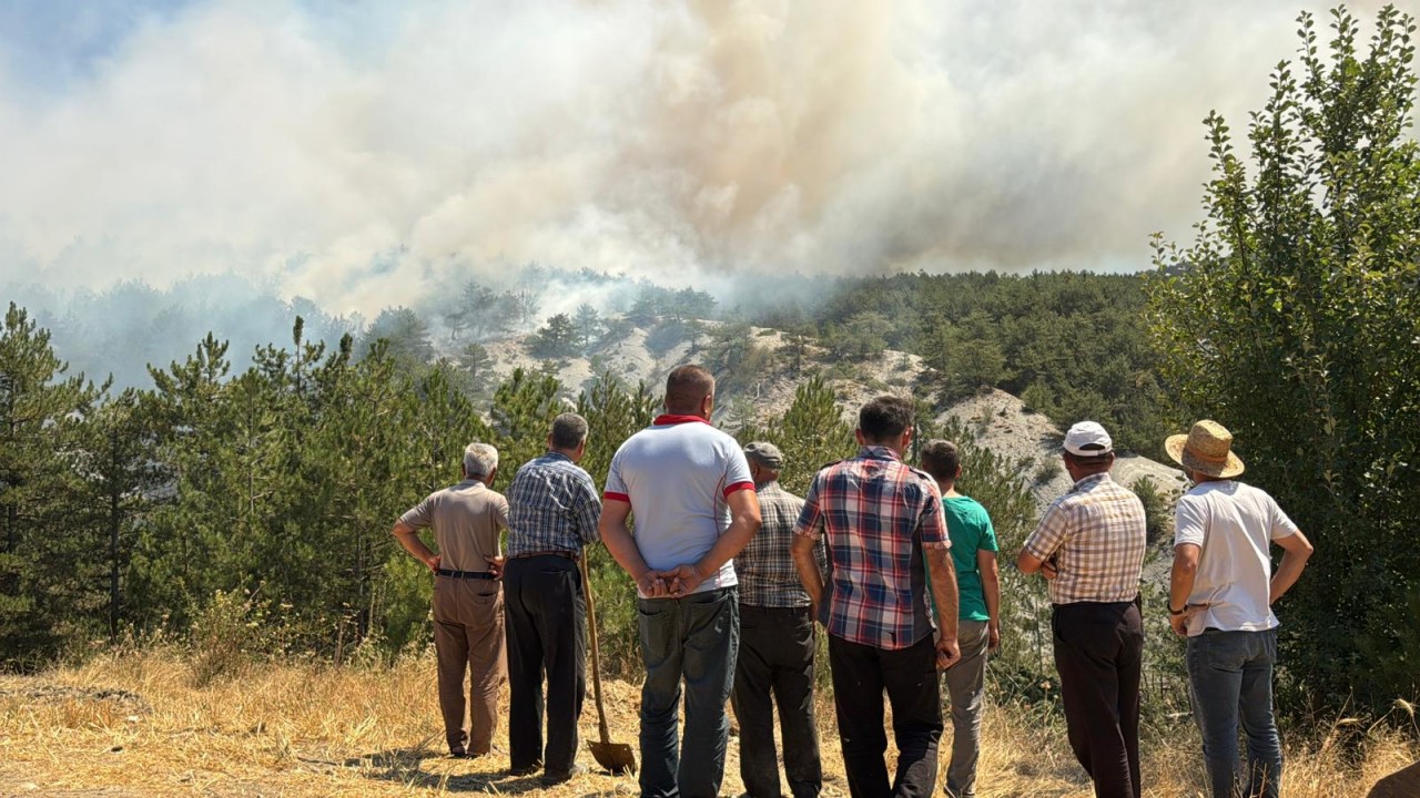 Arazideki yangın ormana sıçradı! Ekipler olay yerinde