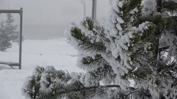 Foto - Ardahan -23 dereceyle buz tuttu! 