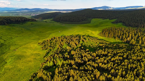 Foto - Ardahan adeta yeşile büründü