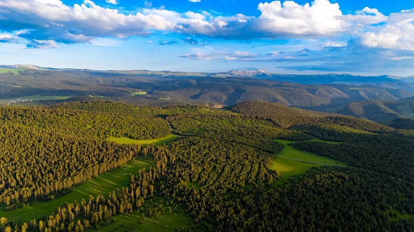 Foto - Ardahan adeta yeşile büründü