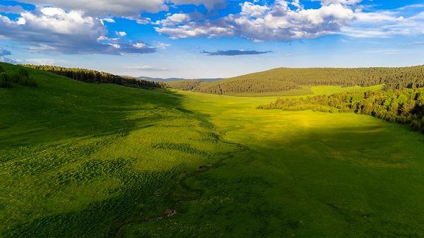 Foto - Ardahan adeta yeşile büründü