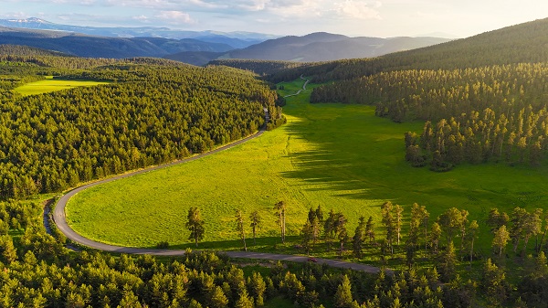 Foto - Ardahan adeta yeşile büründü