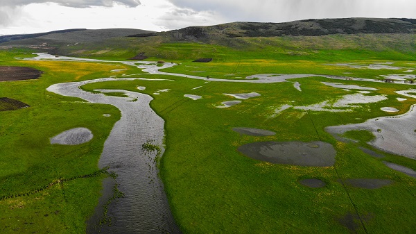 Foto - Ardahan adeta yeşile büründü