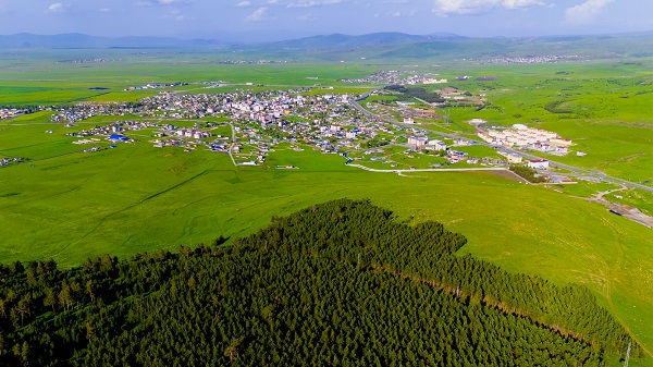 Foto - Ardahan adeta yeşile büründü
