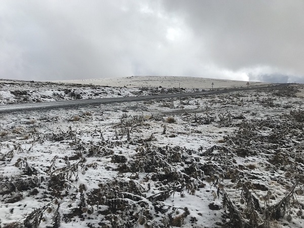 Foto - Ardahan beyaza büründü