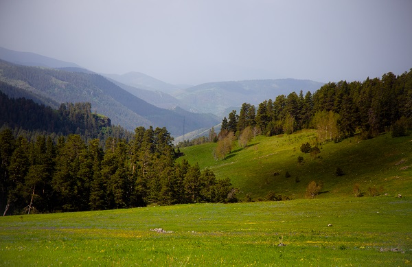 Foto - Ardahan'da doğa renklendi