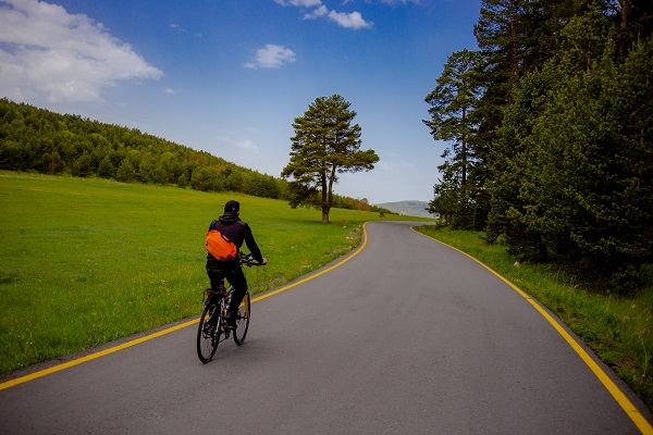 Foto - Ardahan'da doğa renklendi