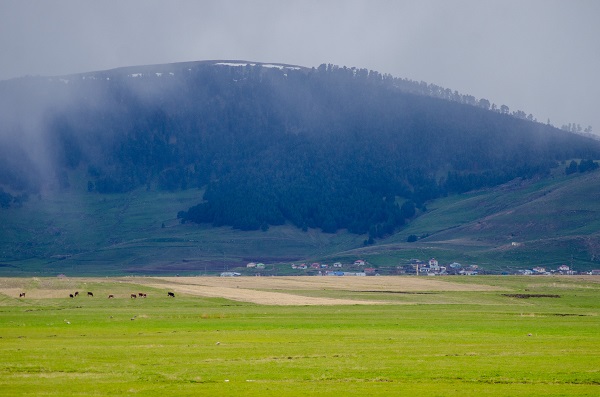 Foto - Ardahan'da doğa yeniden canlandı