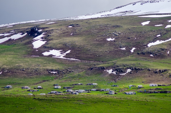 Foto - Ardahan'da doğa yeniden canlandı