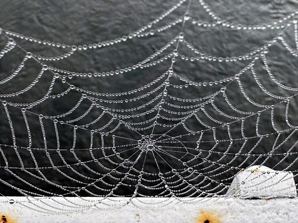 Foto - Ardahan sise teslim oldu