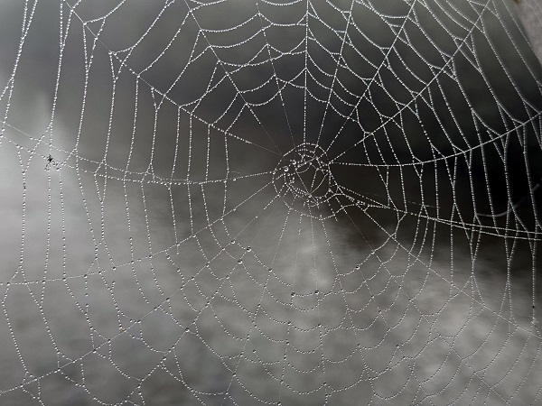 Foto - Ardahan sise teslim oldu