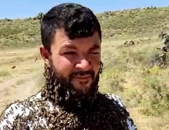 Arı adam felaketi yaşadı