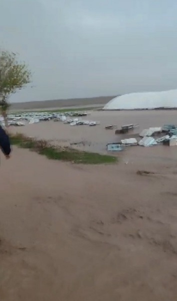 Foto - Arı adam felaketi yaşadı