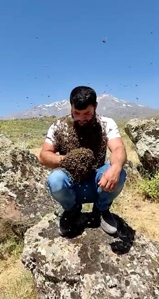 Foto - Arı adam felaketi yaşadı