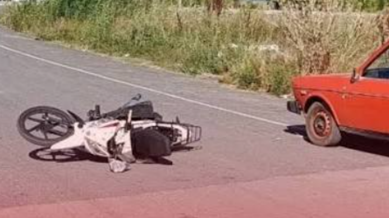 Arı faciaya neden oldu: 1 kişi öldü, 1 kişi yaralandı!