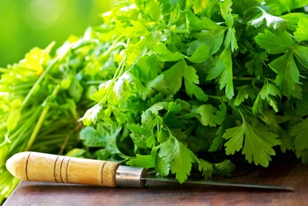 Foto - Arı sokarsa bunları yapın!