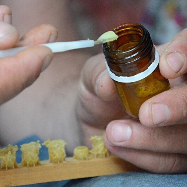 Foto - Arı sütünün faydaları nelerdir? Arı sütünün kilosu bakın kaç TL! Yurt dışından da ilgi çok fazla! 