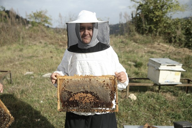 Arı sütünün faydaları nelerdir? Arı sütünün kilosu bakın kaç TL! Yurt dışından da ilgi çok fazla! 