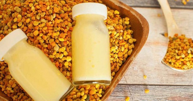 Foto - Arı sütünün faydaları nelerdir? Arı sütünün kilosu bakın kaç TL! Yurt dışından da ilgi çok fazla! 