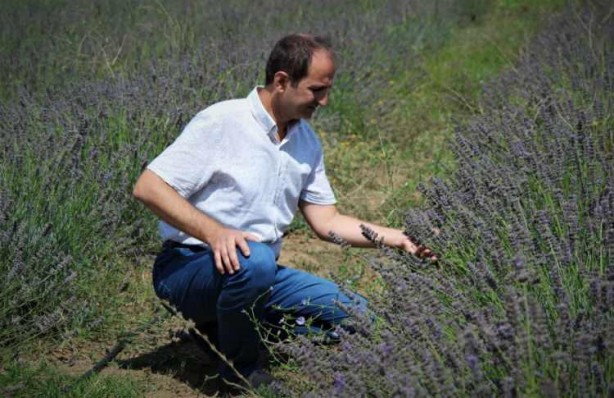 Foto - Arı yatağı şifa dağıtıyor