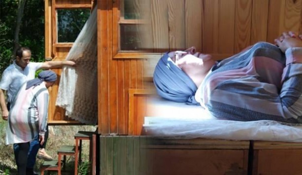 Arı yatağı şifa dağıtıyor