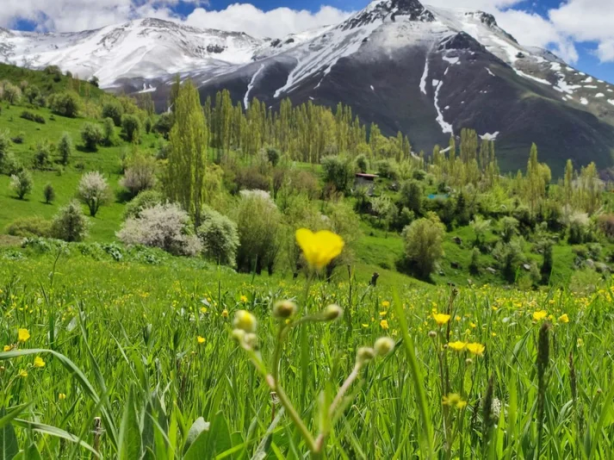 Foto - Arıcı gözlerine inanamadı! Böyle bir bal daha önce olmadı
