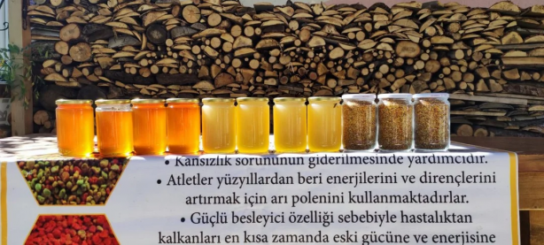 Arıcı gözlerine inanamadı! Böyle bir bal daha önce olmadı