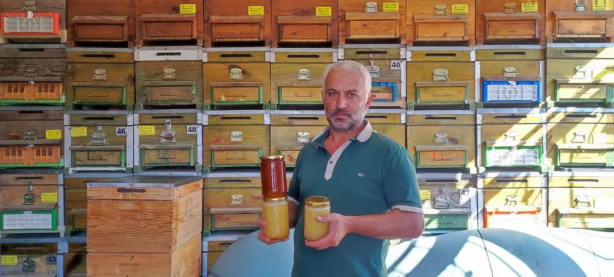 Foto - Arıcı gözlerine inanamadı! Böyle bir bal daha önce olmadı