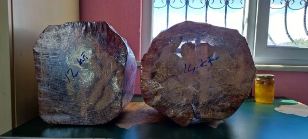 Foto - Arıcı gözlerine inanamadı! Böyle bir bal daha önce olmadı