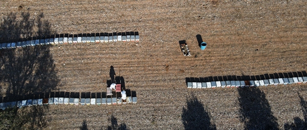 Foto - Arıcıların hasat telaşı başladı